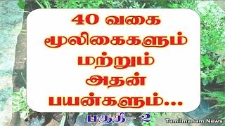 Herbs and their uses in tamil  40 herbal plants and their uses Part 2 [upl. by Rednav]