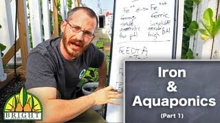 Iron in Aquaponics  Part 1 [upl. by Burnley469]