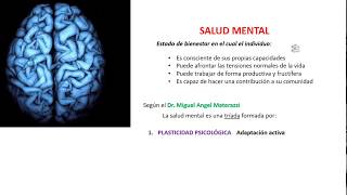 Introducción a la Salud mental [upl. by Nnahtur]