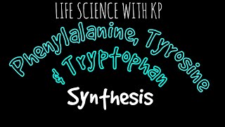 Phenylalanine and tyrosine metabolism [upl. by Arbmik]