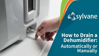 How to Drain a Dehumidifier Automatically  Sylvane [upl. by Ynattyrb835]