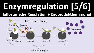 Allosterische Regulation  Endprodukthemmung  Enzymregulation 56  Biologie Oberstufe [upl. by Chapnick]