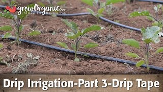 Drip IrrigationPart 3Using Drip Tape [upl. by Norling]