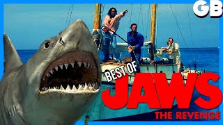 JAWS THE REVENGE  Best of [upl. by Igal368]