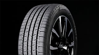 Testing the Goodyear Assurance MaxLife 2021  Tire Rack [upl. by Nicholson]