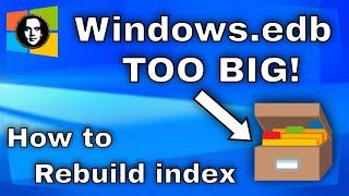 How to Rebuild Search Index on Windows 10  11 and Fix Windowsedb Huge File Size  Working 2025 [upl. by Bobbe]