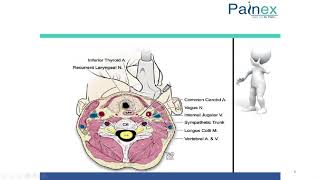 USG Guided Stellate Ganglion Block [upl. by Silvester]