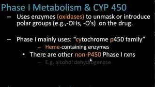 Phase I Metabolism  Pharmacology Lect 7 [upl. by Adnilema469]