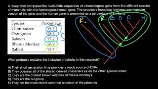 Bioinformatics Principles in building Phylogenic trees [upl. by Kosse]