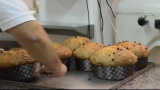 Panettone recipe by Alfonso Pepe  Part I [upl. by Yrellam]