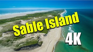 Sable Island As youve never seen before [upl. by Meeker]