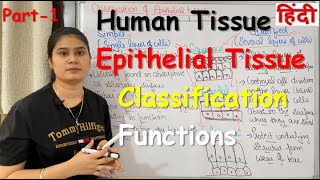 Tissue in Hindi  Epithelial Tissue  Functions  Classification  Part1 [upl. by Holt]