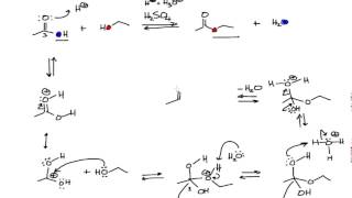 Mechanism of the Fischer Esterification in Organic Chemistry [upl. by Eenat]