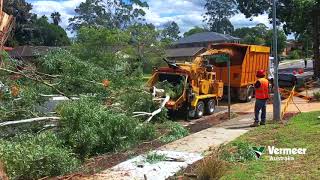 Vermeer BC2100XL wood chipper gum tree Sydney Australia [upl. by Riba]