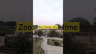 Zoo [upl. by Amihc]