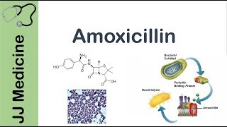 Amoxicillin  Bacterial Targets Mechanism of Action Adverse Effects  Antibiotic Lesson [upl. by Luella445]