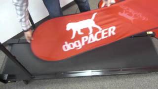 How To Lubricate Your dogPACER Treadmill [upl. by Ainej]