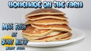 Pancakes from Scratch  EASY pancake recipe [upl. by Carree50]