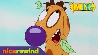 Dog Suffers from quotPecanitisquot  CatDog  Nicktoons [upl. by Rolyat800]