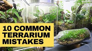 Closed terrarium mistakes and how to avoid them [upl. by Lledrac]