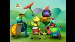 Big Bugs Band  Flute Drums and Music [upl. by Ynnod]