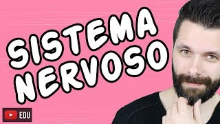 SISTEMA NERVOSO  FISIOLOGIA  Aula  Biologia com Samuel Cunha [upl. by Zingale]