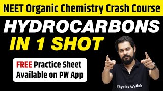 HYDROCARBONS in 1 Shot  All Concepts Tricks amp PYQs Covered  Class 11  NEET [upl. by Geraint]