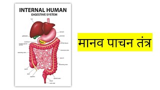 manav pachan tantra ka varnan in Hindi [upl. by Mak]