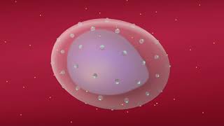 NEOPLASIA 8 INVASION AND METASTASIS Mechanisms Pathways of Spread [upl. by Radek735]