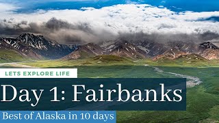 Things to do in Fairbanks Best of Alaska in 10 Days [upl. by Thurston]