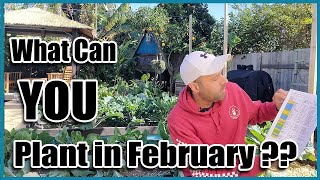 What Can You Plant in February in Your Area [upl. by Meece687]