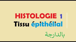 cours HISTOLOGIE Ep 1  Tissu épithélial [upl. by Artemis]