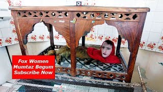 Mumtaz Begum Story Of Fox Women In Karachi Zoo Pakistan [upl. by Shorter]