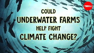 Underwater farms vs climate change  Ayana Elizabeth Johnson and Megan Davis [upl. by Marketa]