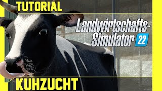 LS 22 Kühe Tutorial Kurz leicht und verständlich erklärt [upl. by Neufer816]