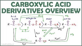 Carboxylic Acid Derivatives Overview and Reaction Map [upl. by Ellennahc741]