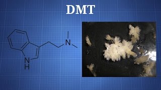 Dimethyltryptamine DMT What You Need To Know [upl. by Dietsche]