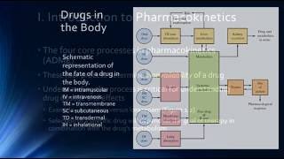 Psychopharmacology amp Pharmacokinetics [upl. by Flavius]