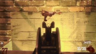 Black Ops 2 Ray Gun EVERY TIME GLITCH [upl. by Prichard]