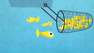 Explanimation Overfishing [upl. by Junia]