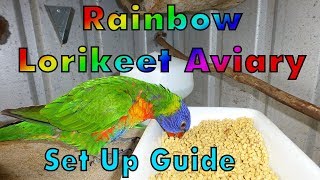 Rainbow Lorikeet Aviary Setup [upl. by Tips]