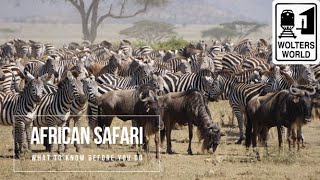 Safari Travel What to Know Before You Go on an African Safari [upl. by Linoel393]