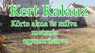 Körtealmaszilva metszése egyszerűsítve S03E08 [upl. by Aix]