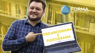 EXPLICANDO ORGANOGRAMA E FLUXOGRAMA [upl. by Redna276]