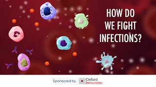 How do we fight infections [upl. by Ileray]