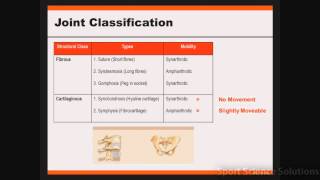 Joint Classification [upl. by Oigroig]