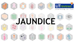 A Clinical Approach to Jaundice [upl. by Munafo]