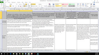 How to Create a Literature Matrix Excel [upl. by Euqinad451]