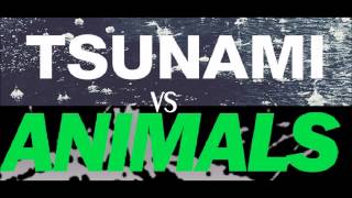 Martin Garrix Animals Vs DVBBS Tsunami [upl. by Grantham83]