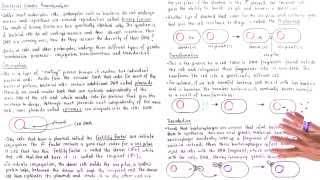 Conjugation Transformation and Transduction [upl. by Nalda]